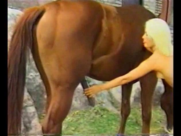 Animal porno cavallo incula dinna
