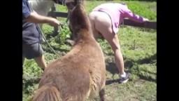 donna fa sesso con cavallo