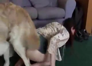 video sesso con cani