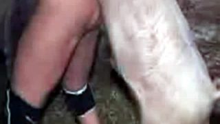 donne che fanno sesso con animali video