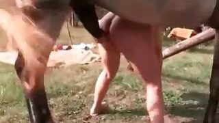 film porno con gli animali