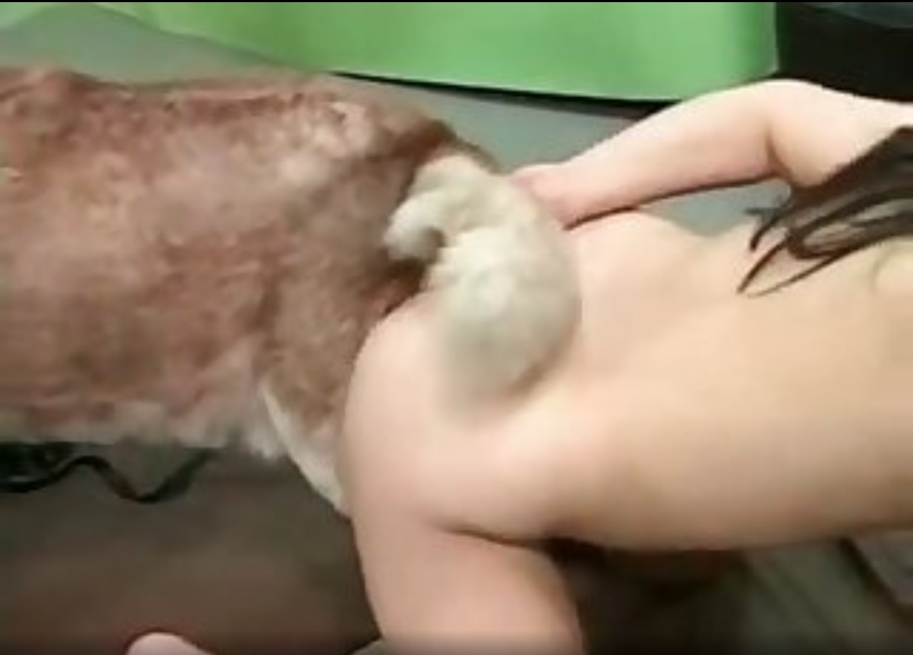 хозяйка трахает свою собаку видео фото 85