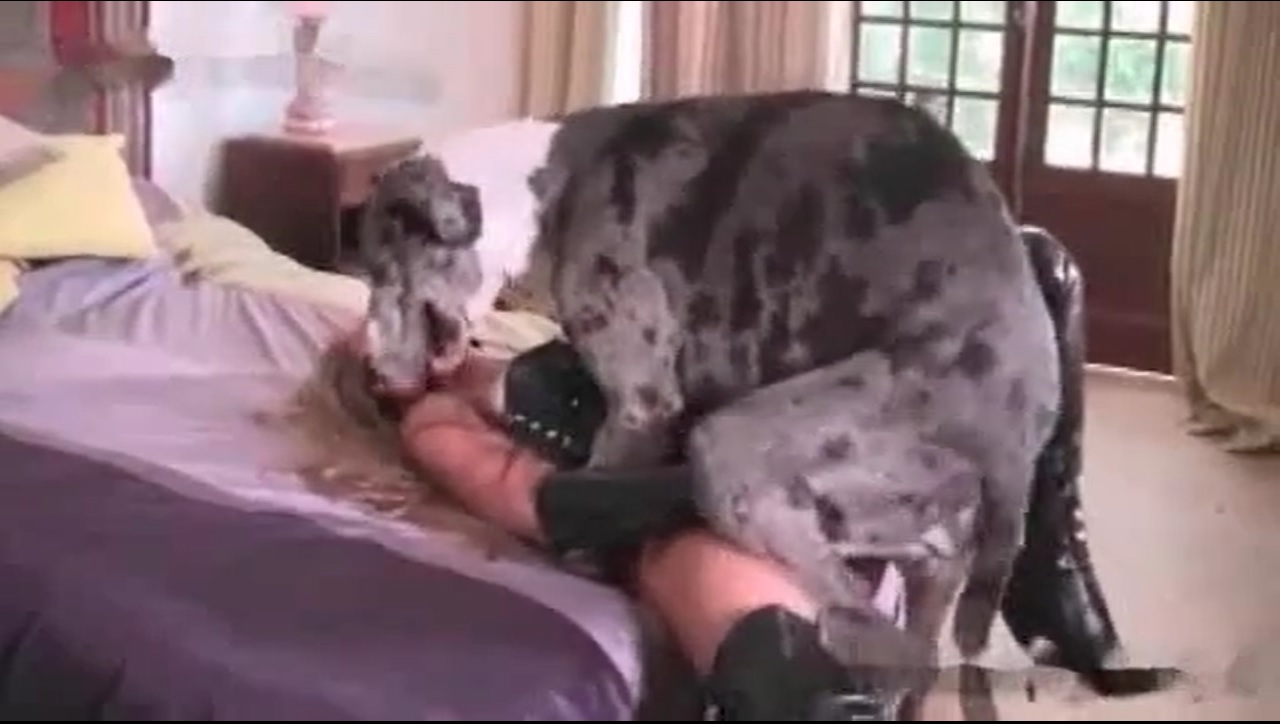 Donna sesso con cane
