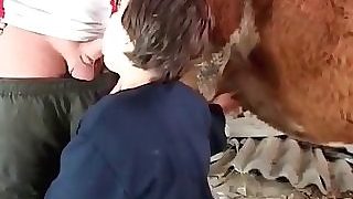 youporn sesso con animali