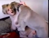 dog kadın porno