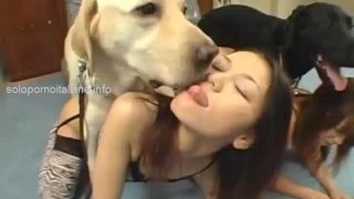 hottie rossa si sta godendo il sesso del cane anime pornos
